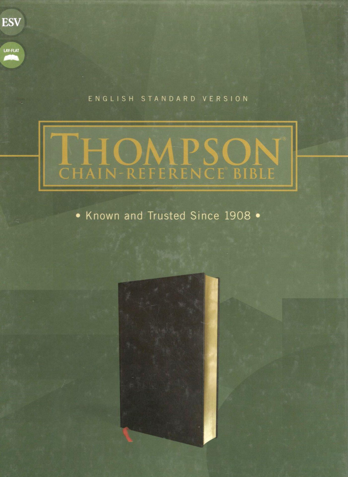 ESV - Thomson Chain Reference Bible (Black)