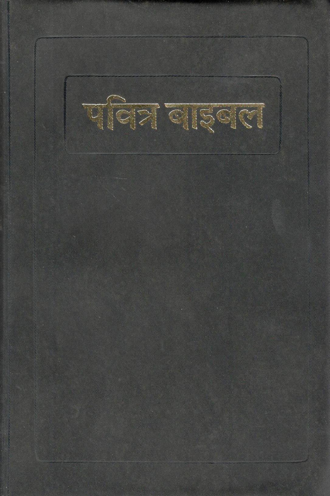 BSI : Holy Bible (Hindi)