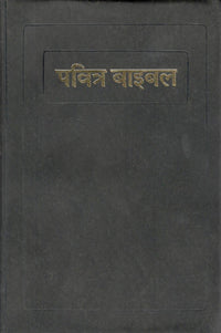BSI : Holy Bible (Hindi)