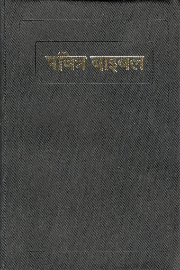 BSI : Holy Bible (Hindi)
