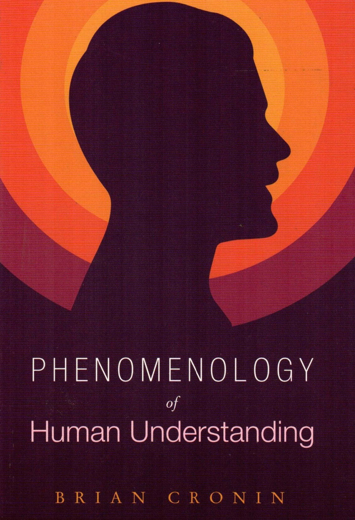 Phenomenology of Human Understanding