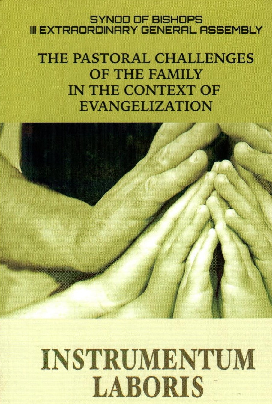 The Pastoral Challenges of The Family in The Context of Evangelization