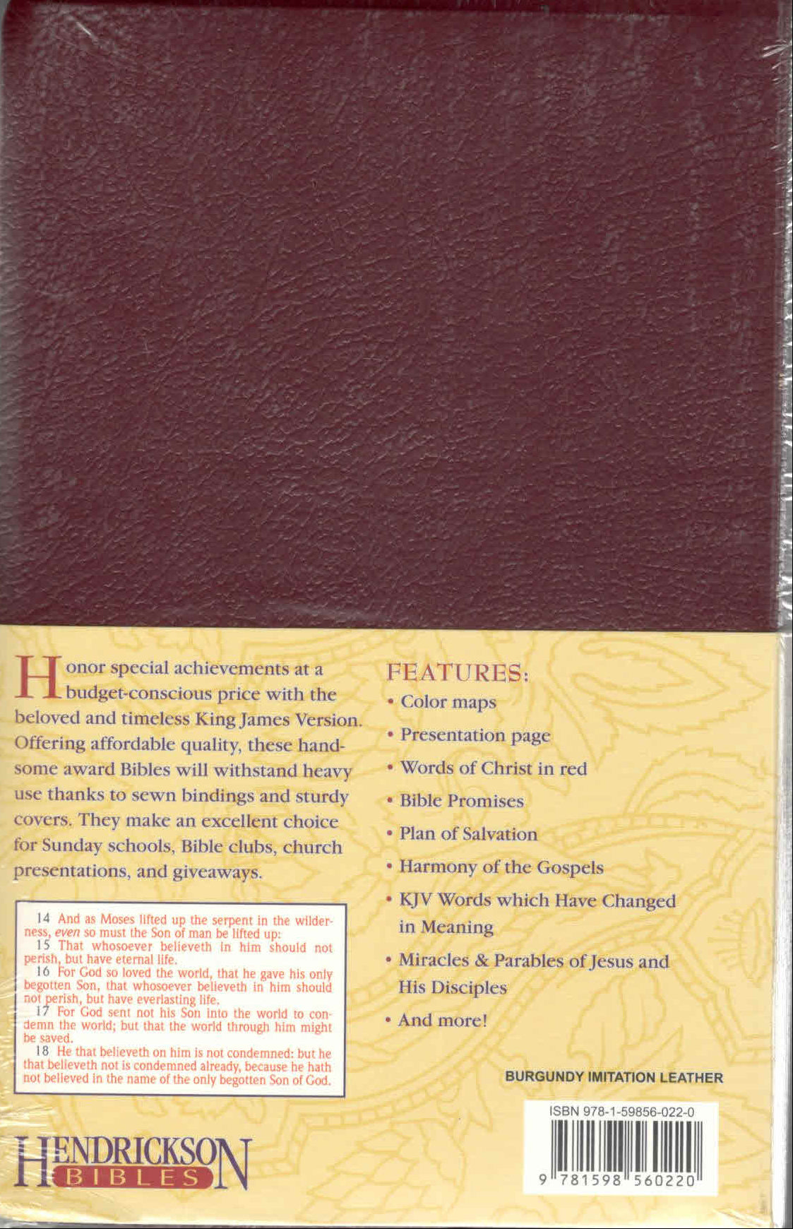 KJV : Gift & Award Bible-Burgundy