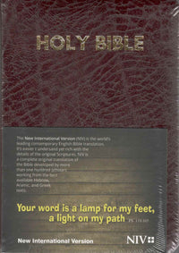 NIV Holy Bible Capsule, Cranberry