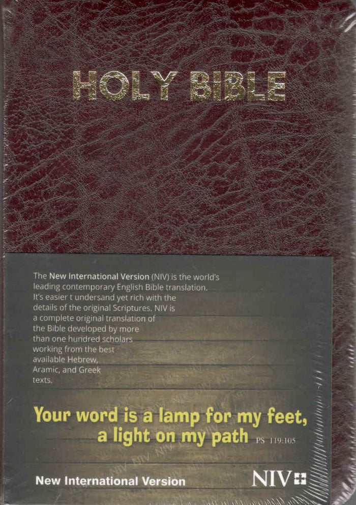 NIV Holy Bible Capsule, Cranberry