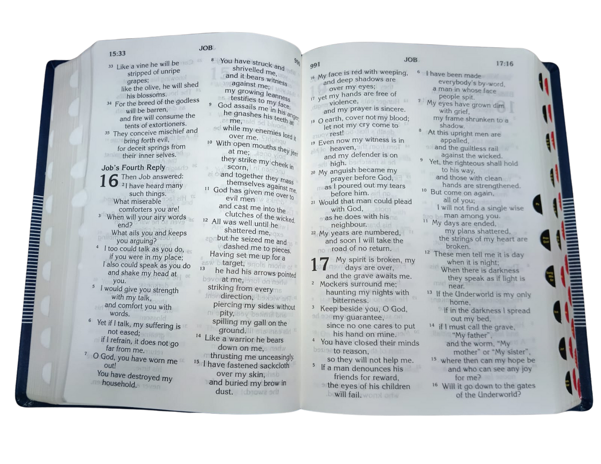 New Community Bible (Catholic Edition): Large-Print Edition (Brown)