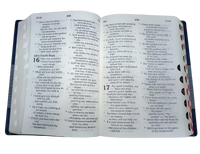 New Community Bible (Catholic Edition): Large-Print Edition (Brown)