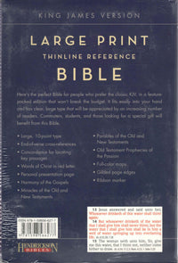 KJV Large Print Thinline Reference Bible (Flexisoft, Chocolate/Blue, Red Letter)