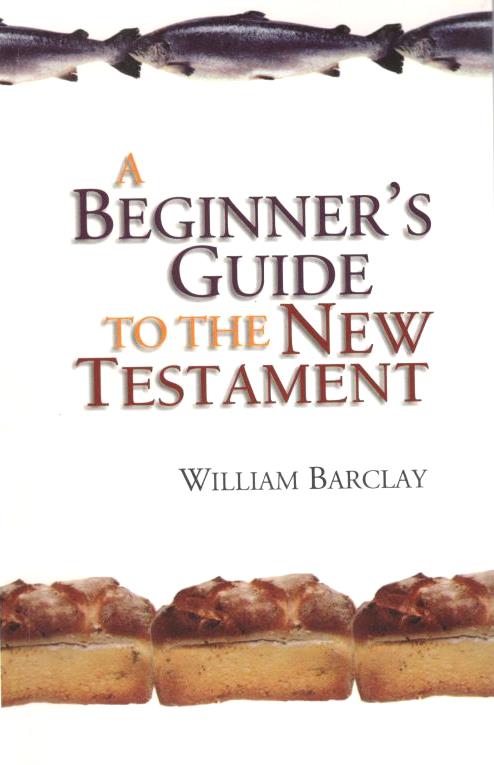 A Beginner's Guide to the New Testament
