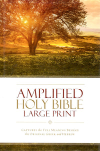 Amplified Holy Bible Large Print