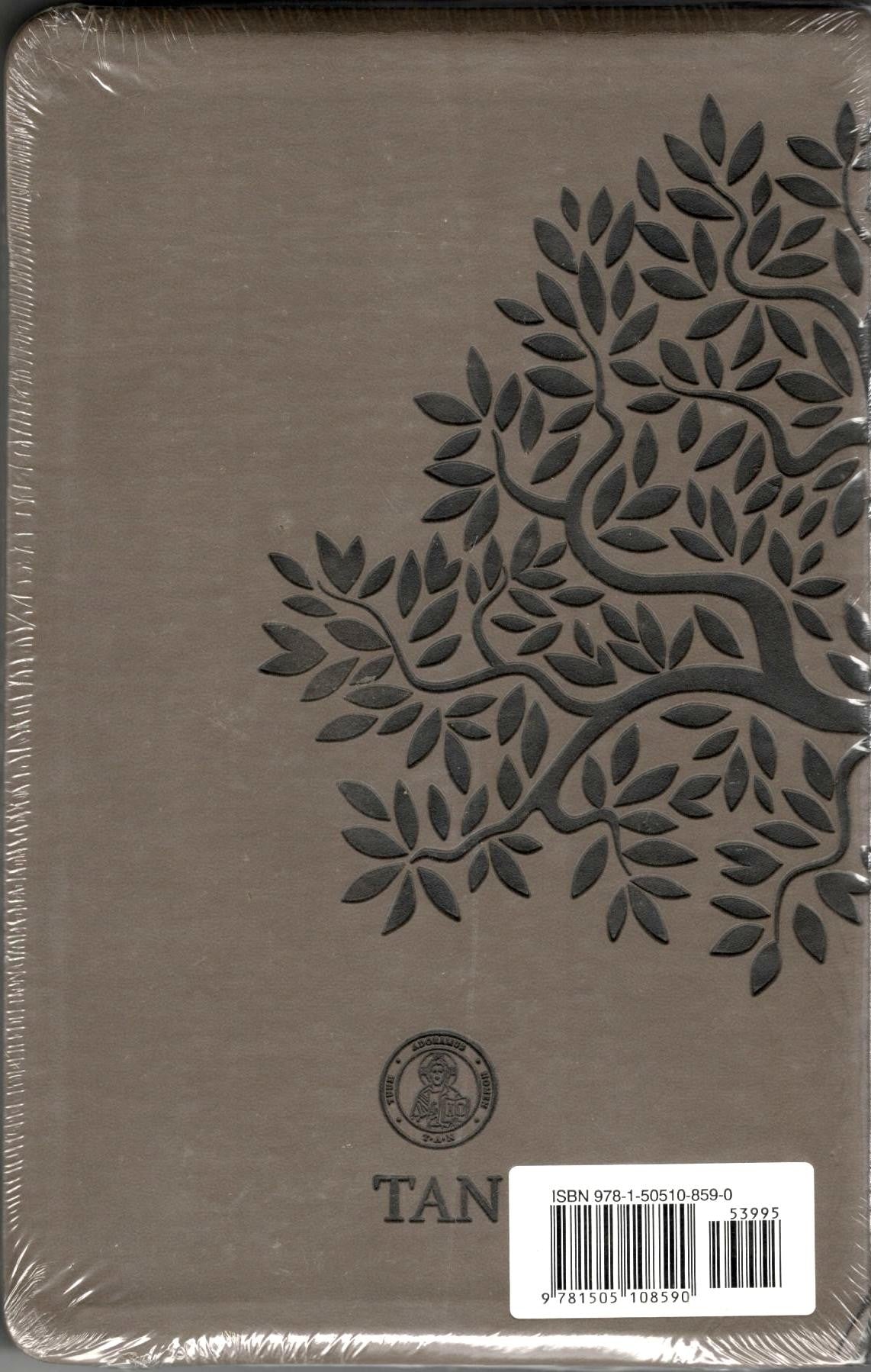 Cultivating Virtue Self-Mastery with the Saints