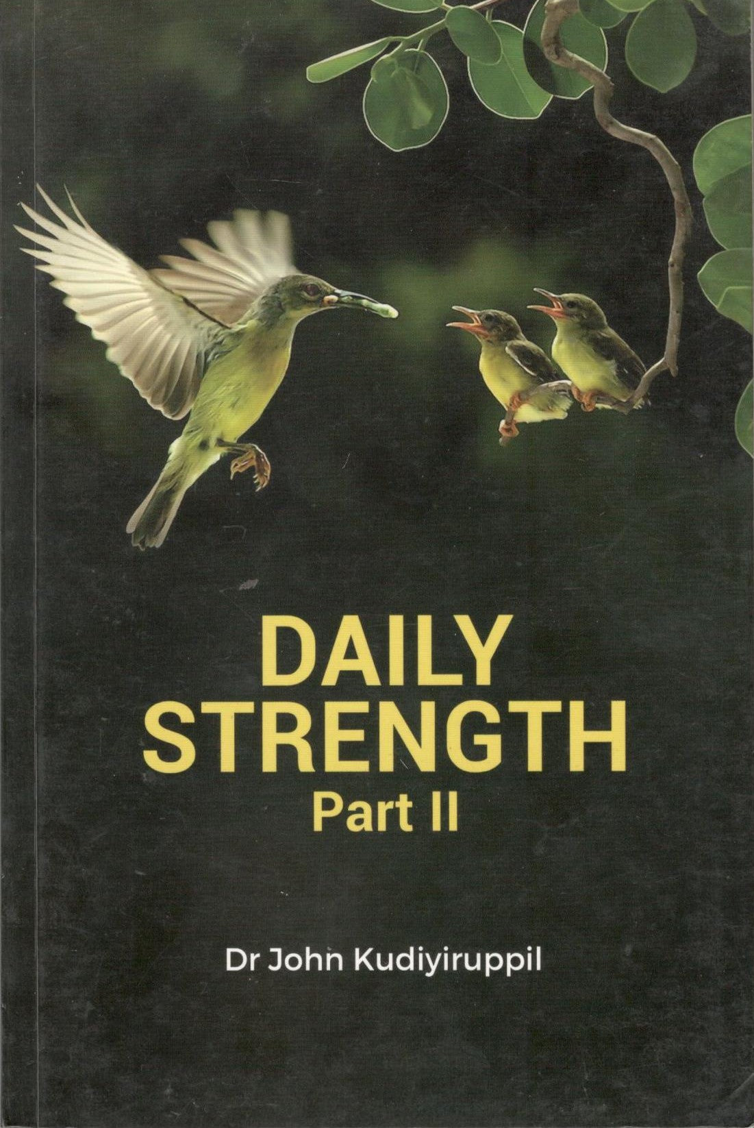 Daily Strength - Part II