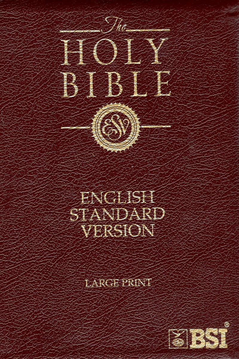 ESV - The Holy Bible (Burgundy)