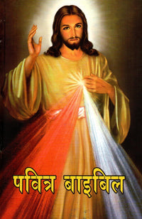 Holy Bible (Hindi)