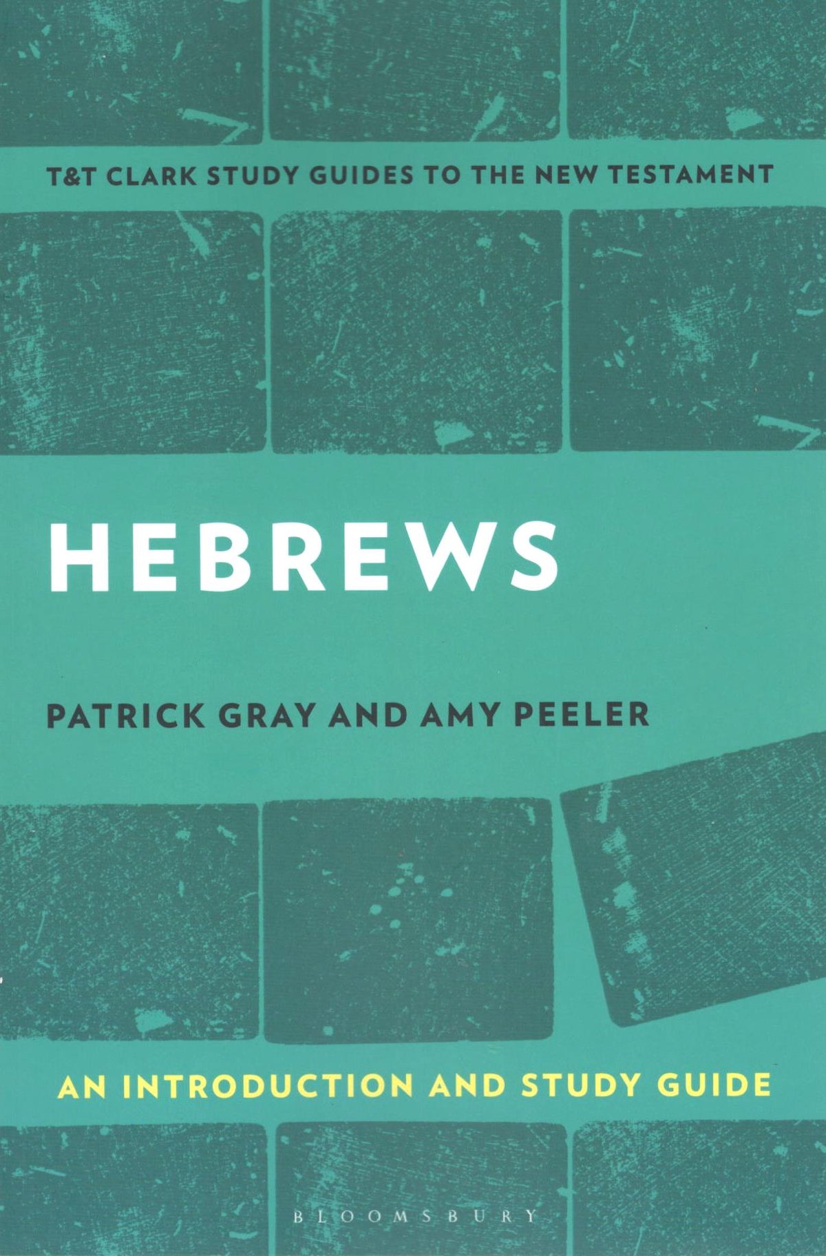 Hebrews (T&T Clark’s Study Guides to the New Testament)