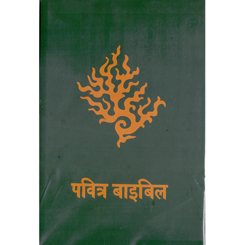 Holy Bible (Hindi)