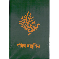 Holy Bible (Hindi)