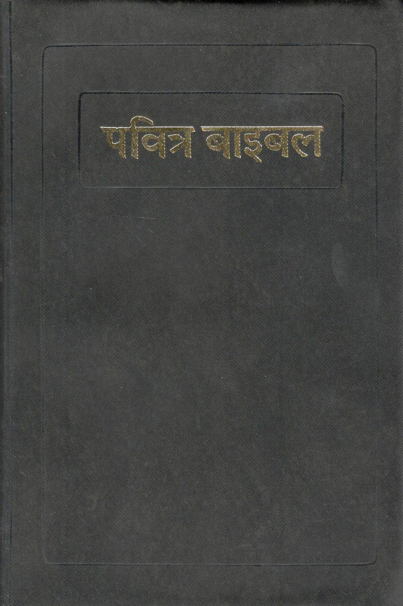 Holy Bible (Hindi)