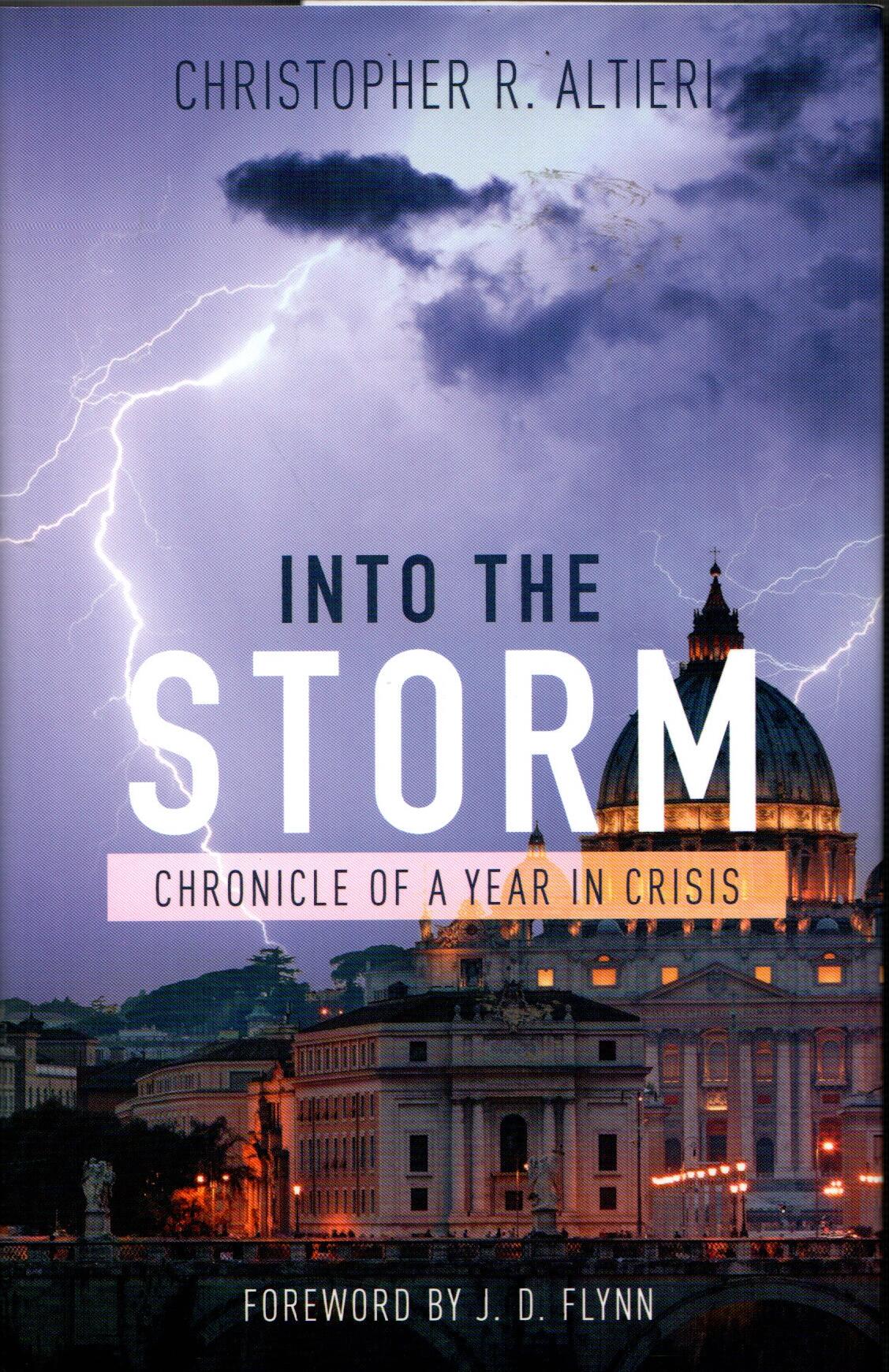 Into the Storm : Chronicle of A Year in Crisis