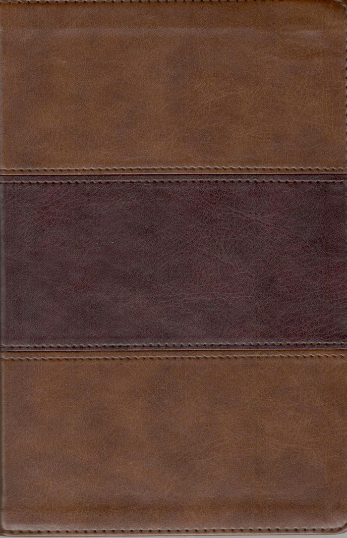 KJV - Large Print Personal Size Reference Bible (Brown)