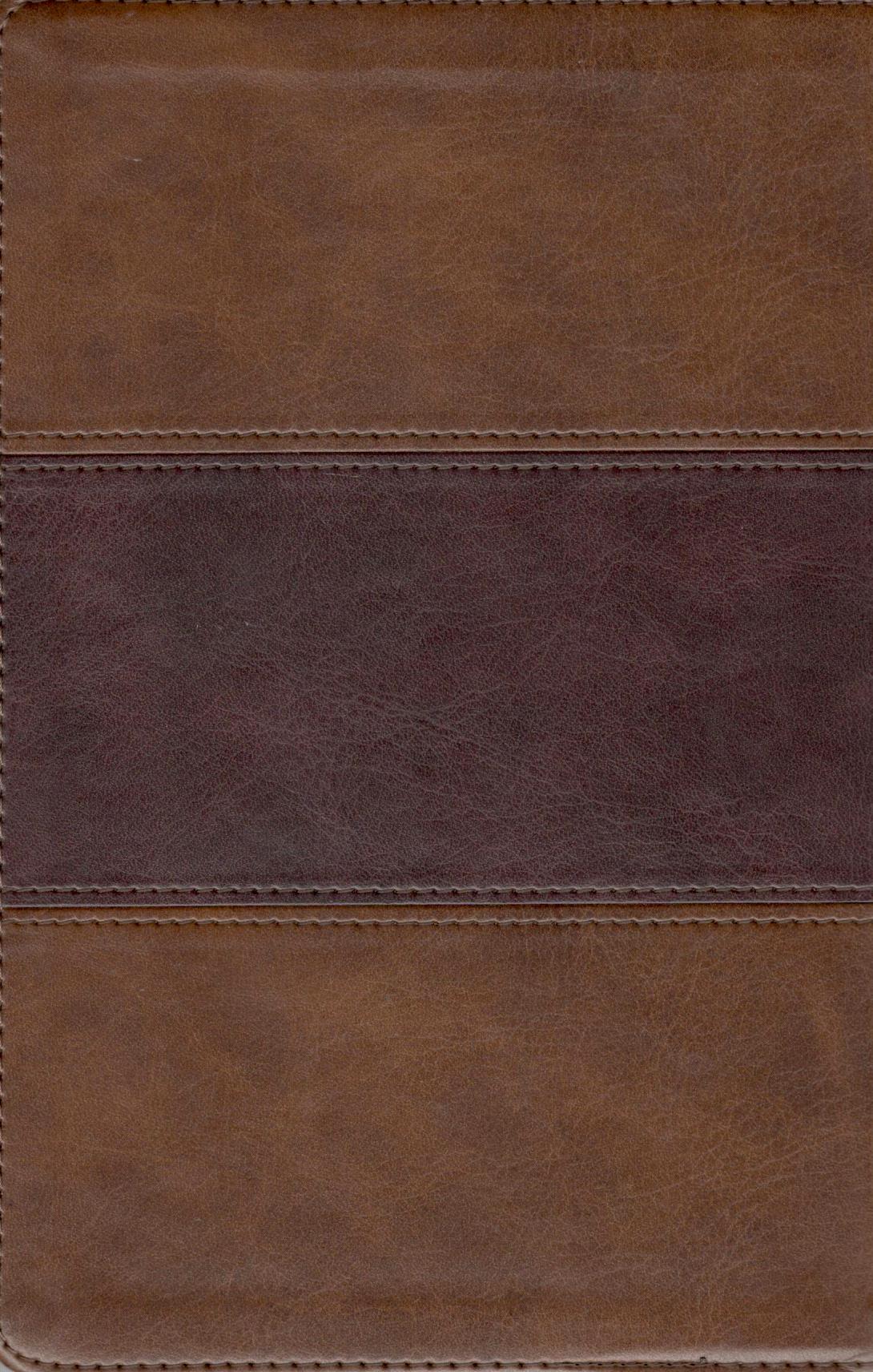 KJV - Large Print Personal Size Reference Bible (Brown)