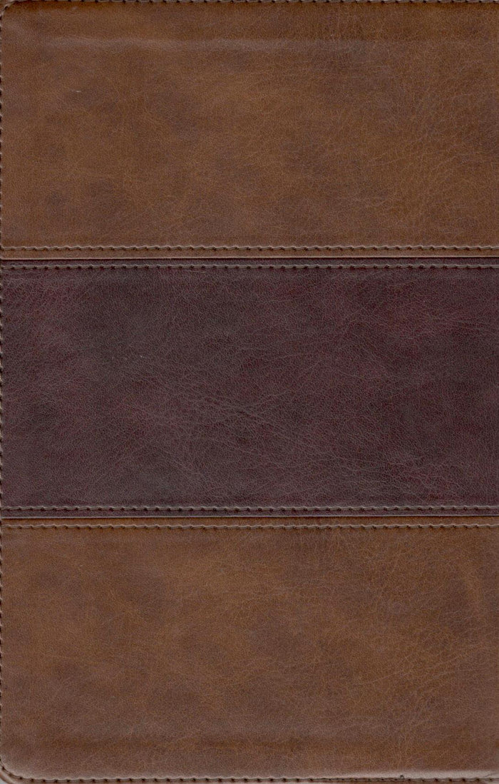 KJV - Large Print Personal Size Reference Bible (Brown)