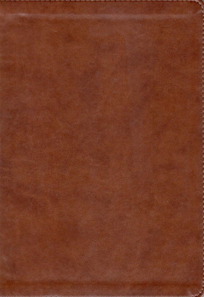 KJV - Large Print Ultrathin Reference Bible (Brown)