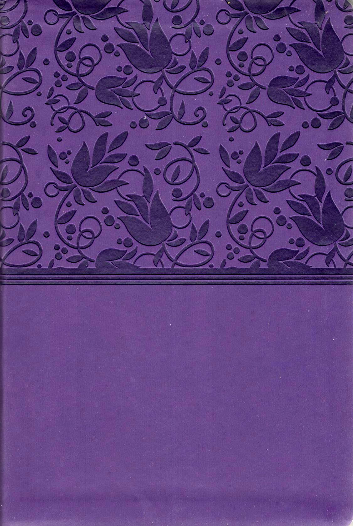 KJV - Large Print Personal Reference Bible (Purple)