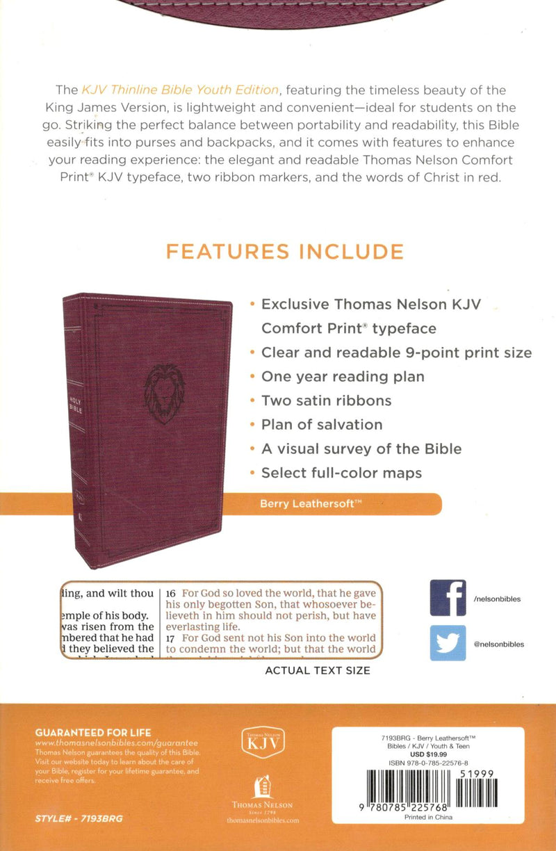 KJV - Thinline Bible Youth Edition (Burgundy)