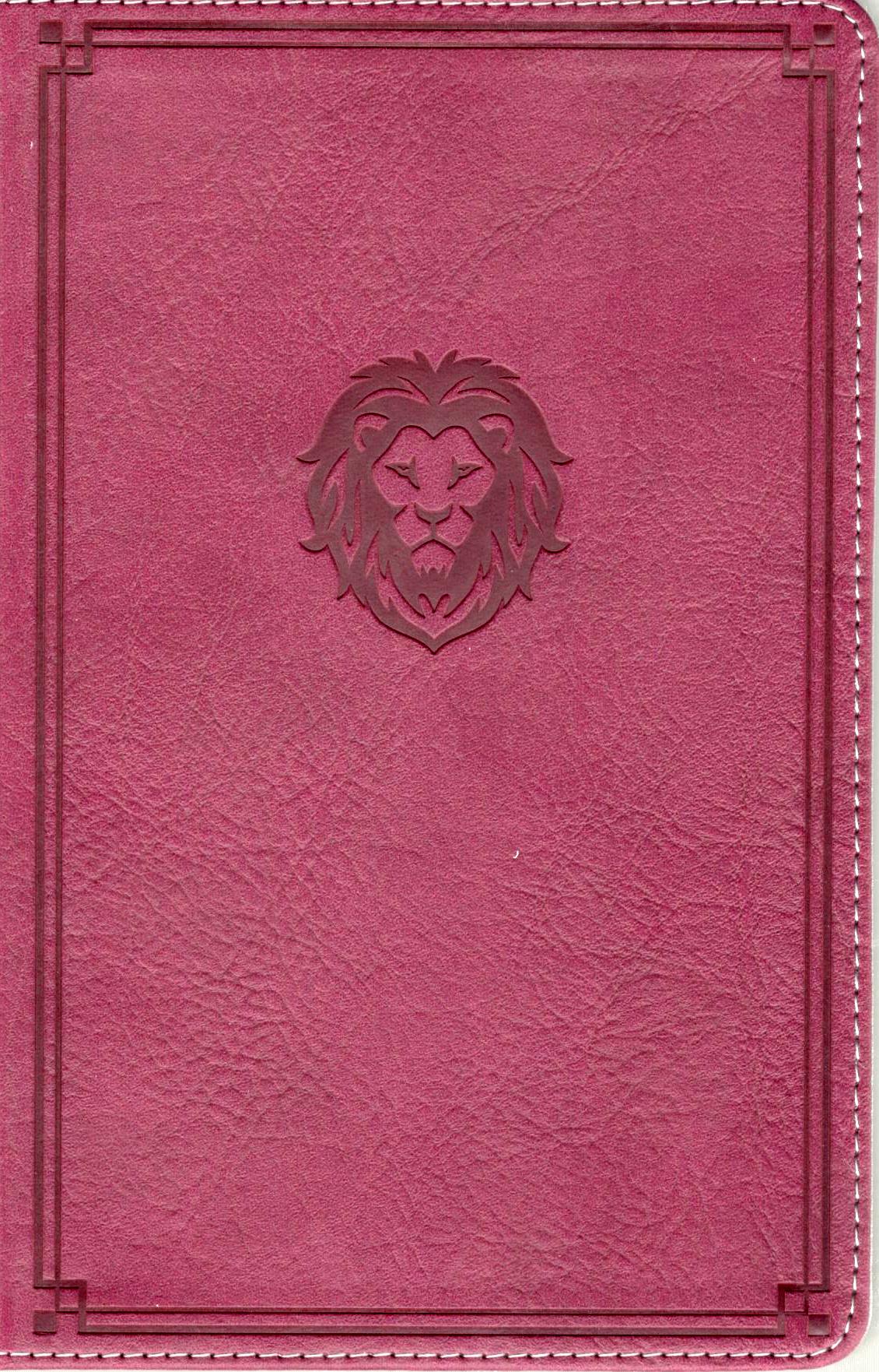 KJV - Thinline Bible Youth Edition (Burgundy)