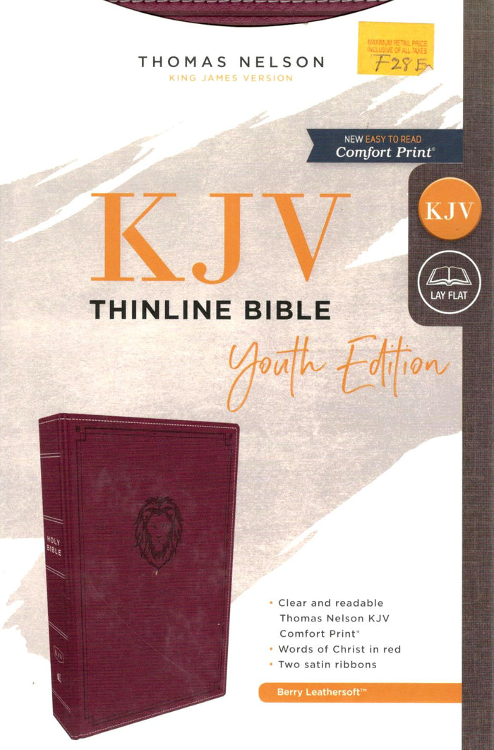 KJV - Thinline Bible Youth Edition (Burgundy)
