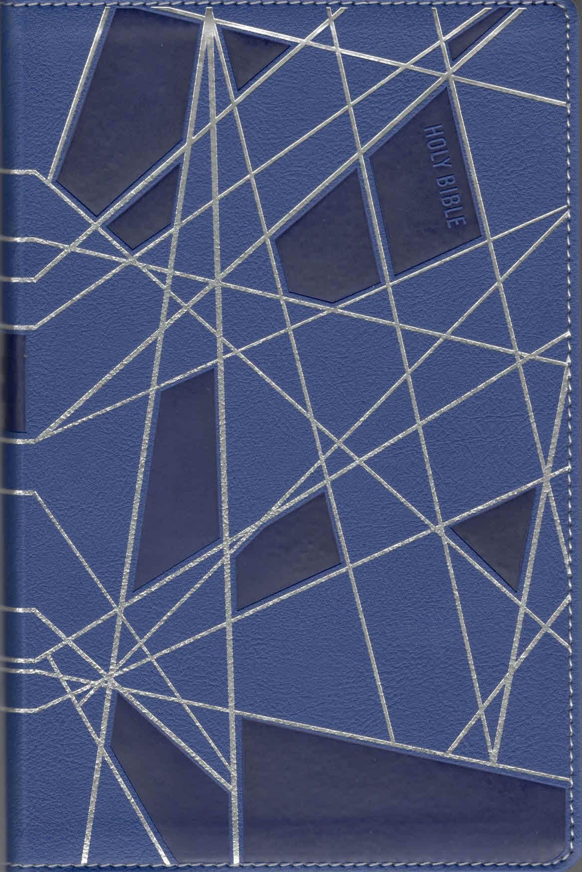 NIV : Premium Gift Bible Youth Edition Blue