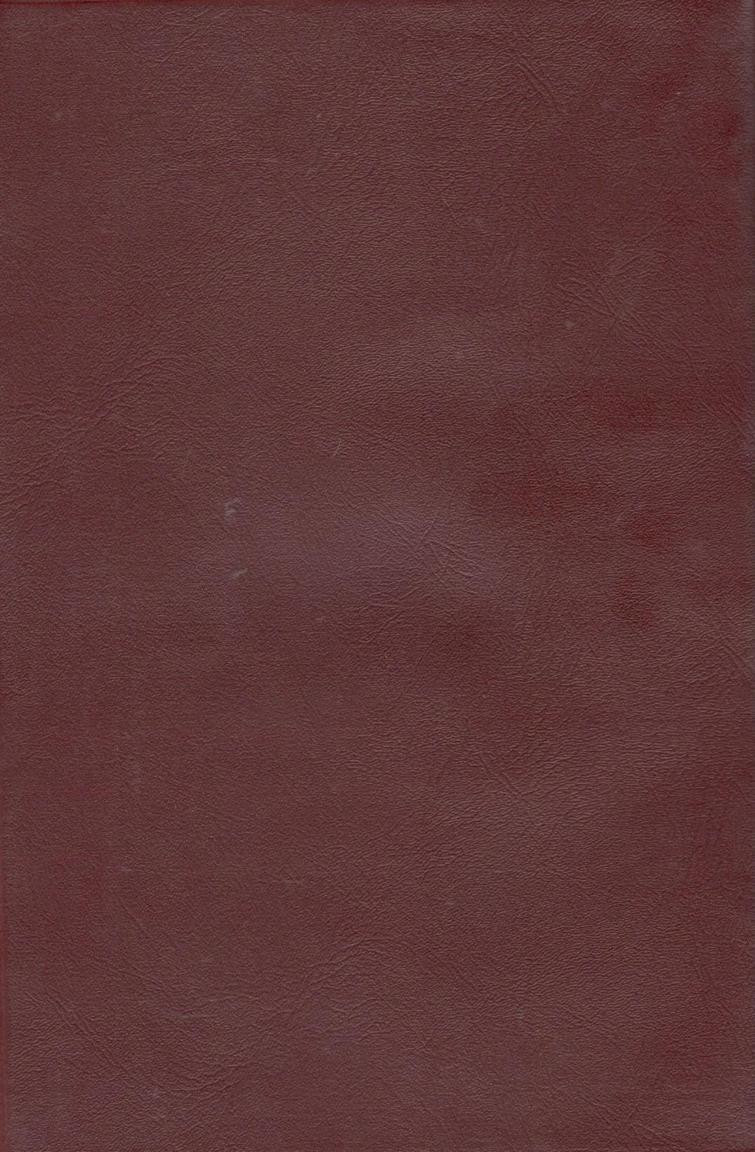 New Testament in Hindi (Naya Vidhan Strot)