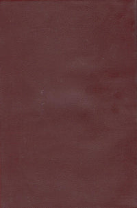 New Testament in Hindi (Naya Vidhan Strot)