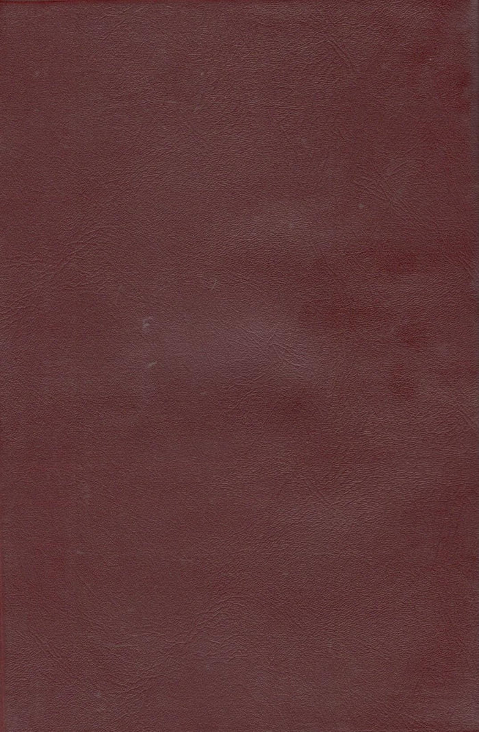 New Testament in Hindi (Naya Vidhan Strot)