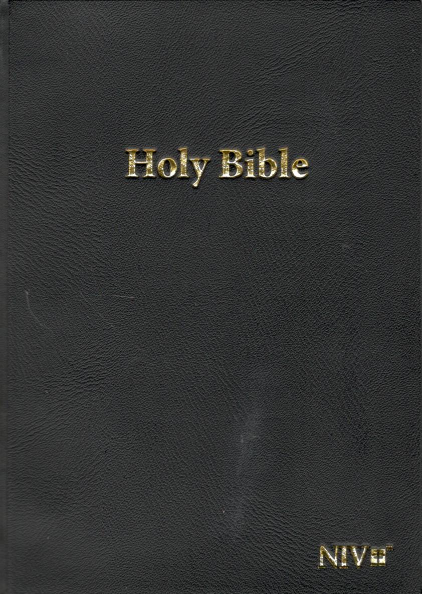 NIV - Mini Compact Holy Bible (Black)