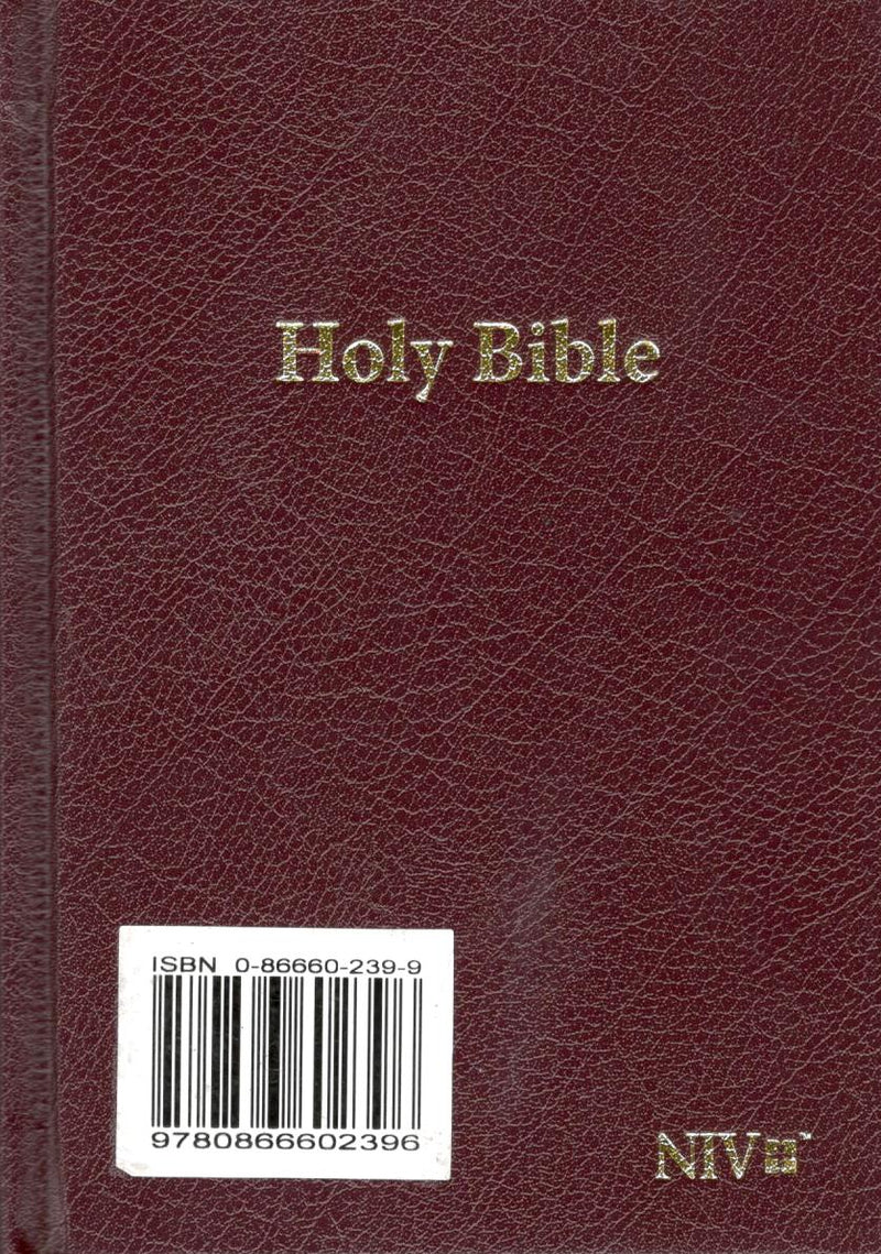 NIV - Mini Compact Holy Bible (Brown)