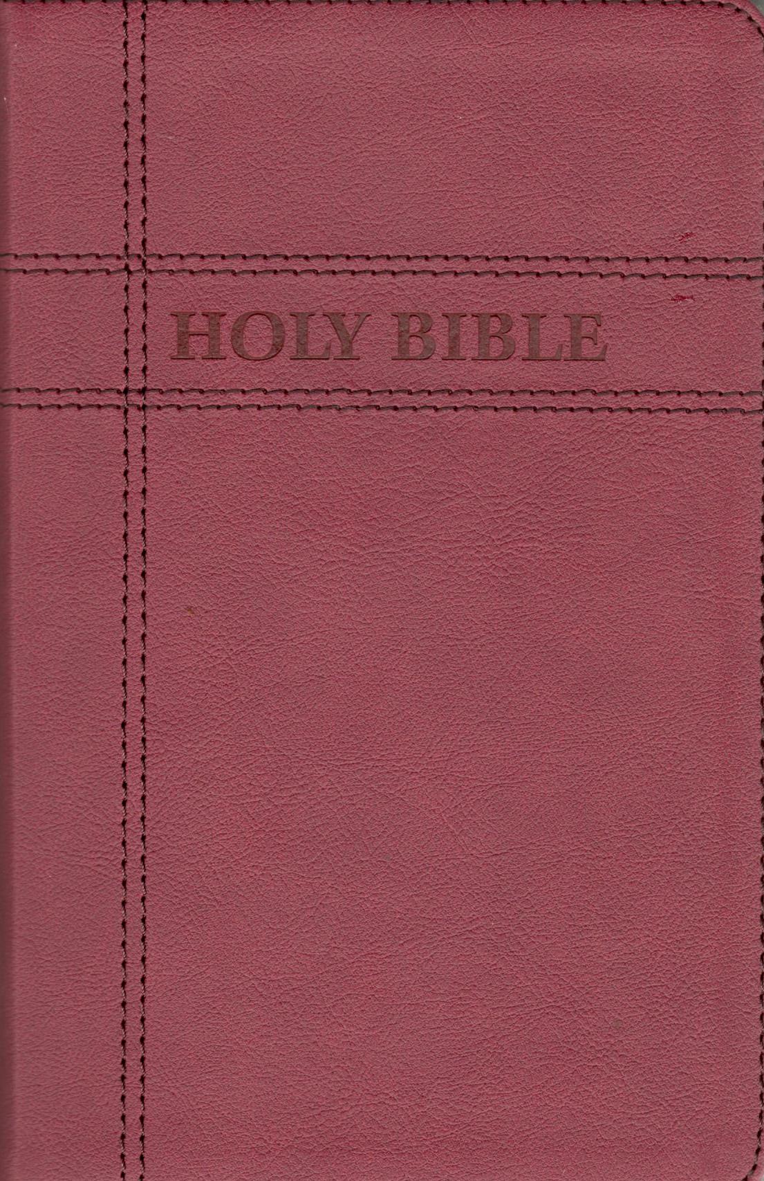 NIV - Premium Gift Bible (Burgundy)