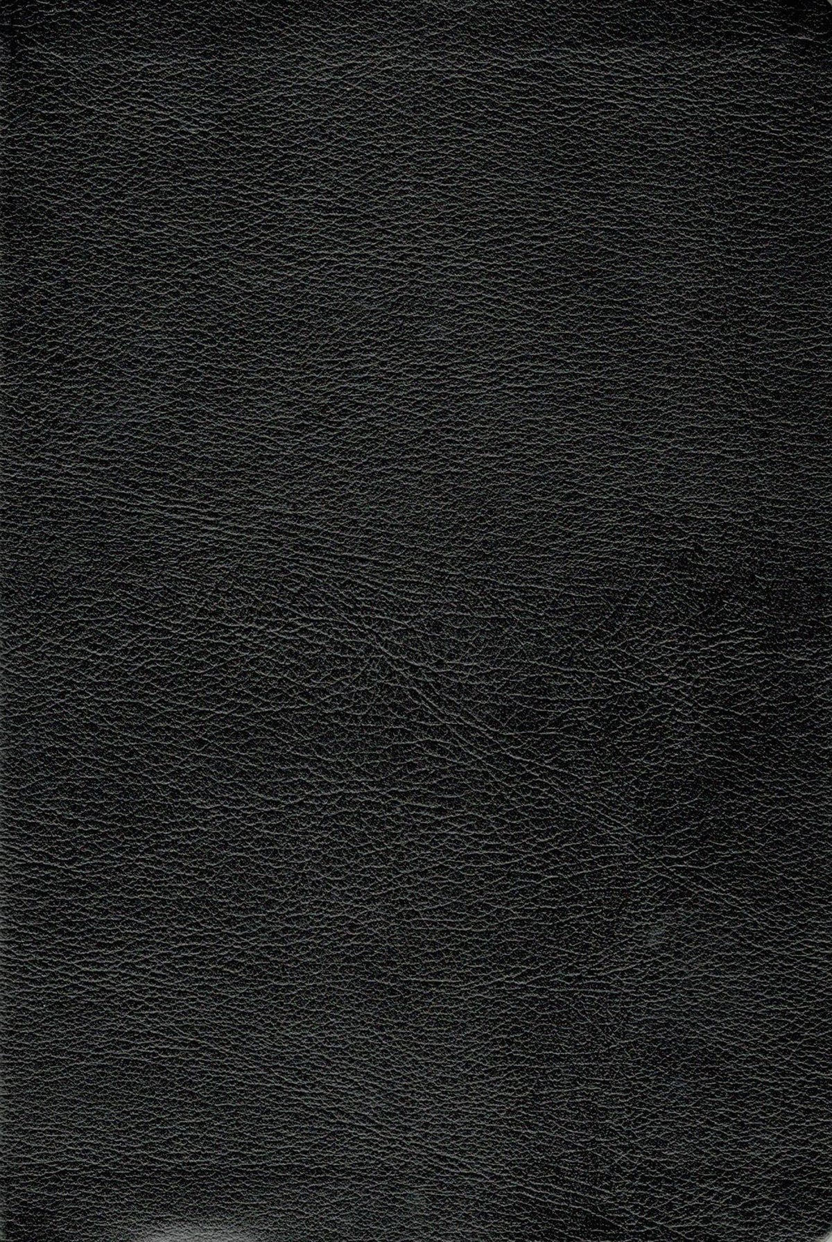 NIV - Thinline Bible Giant Print (Black)