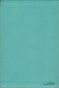 NIV - Value Thinline Bible Large Print (Turquose)