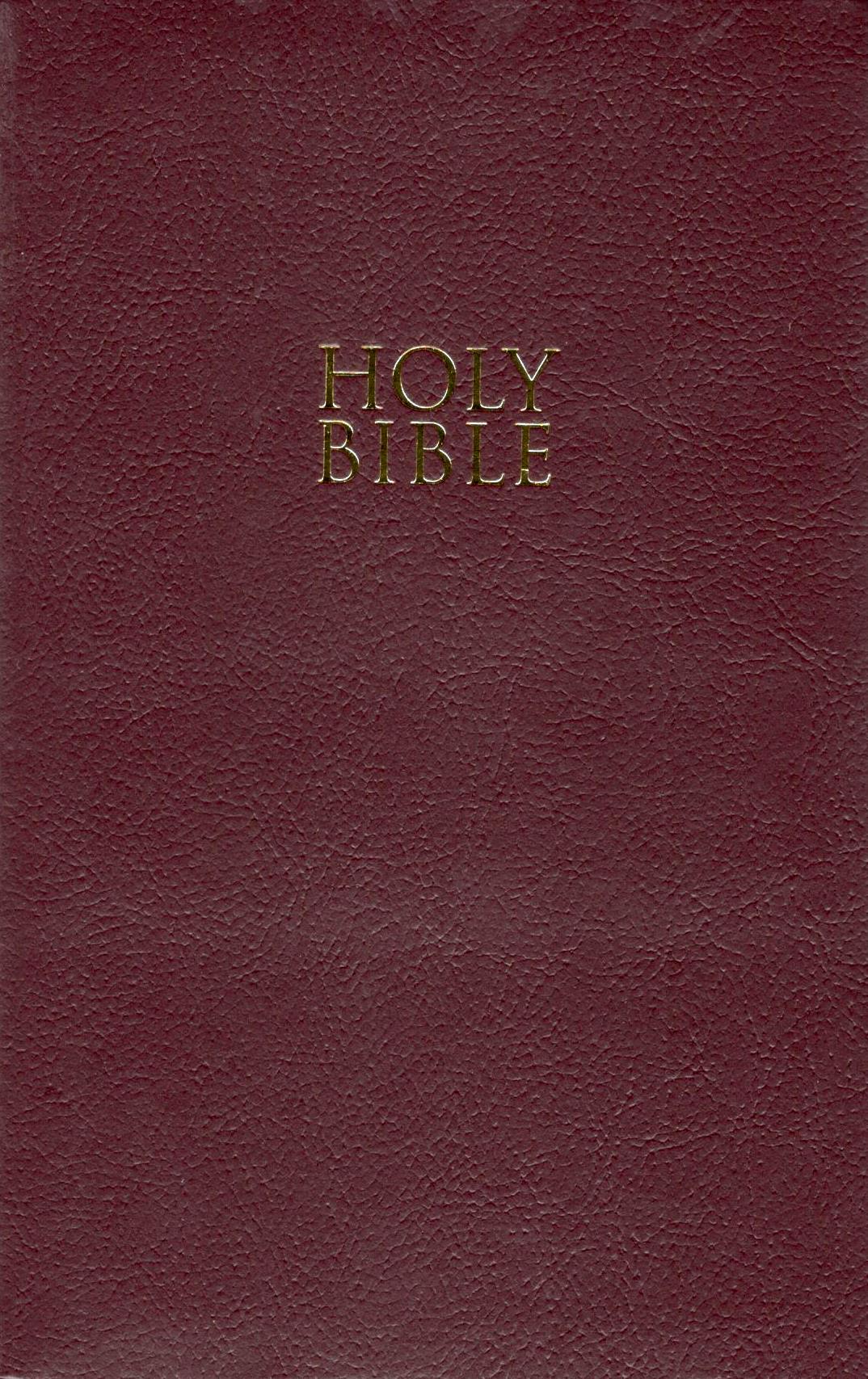 NIV - Gift and Award Bible (Burgundy)