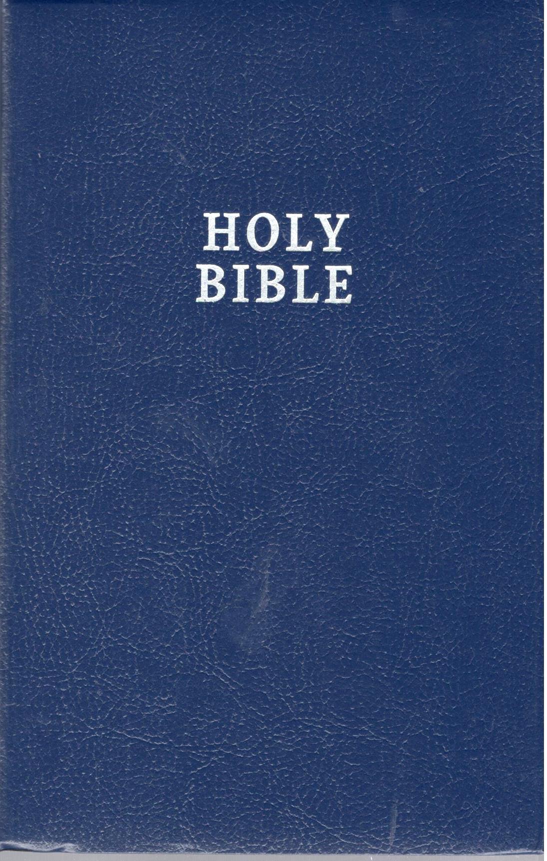 NIV : Gift and Award Bible for Kids | Comfort Print | Blue