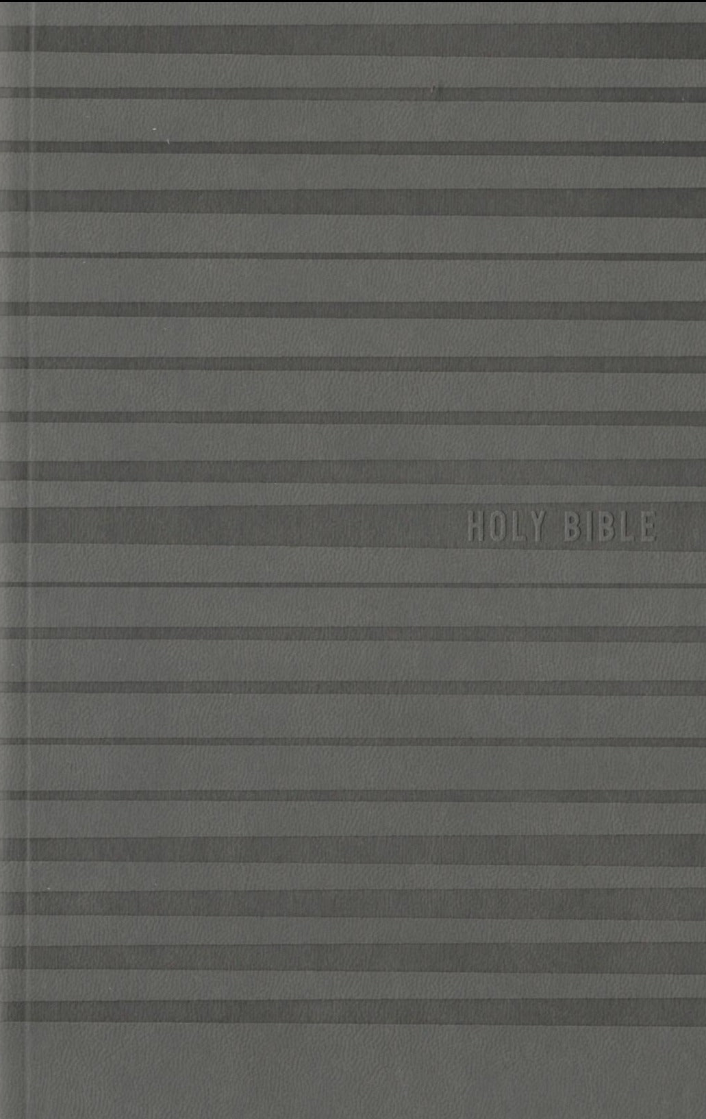 NIV - Holy Bible for Boys