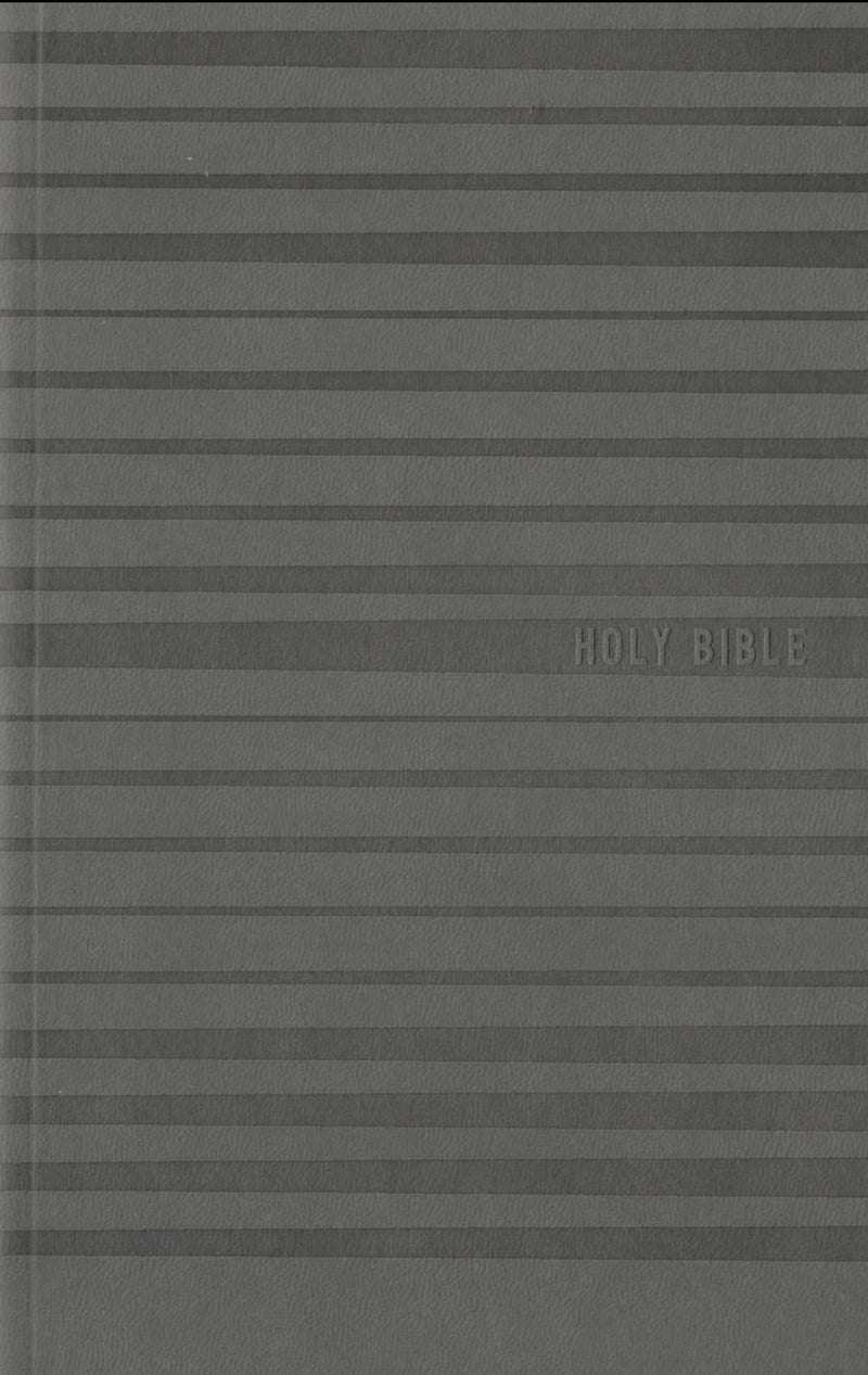 NIV - Holy Bible for Boys