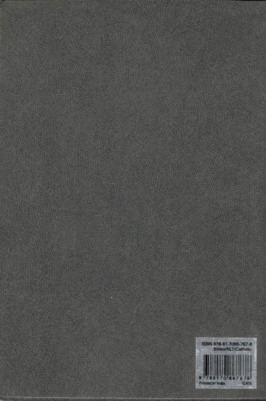 NLT : Holy Bible | Catholic Edition | Pocket Size | Grey