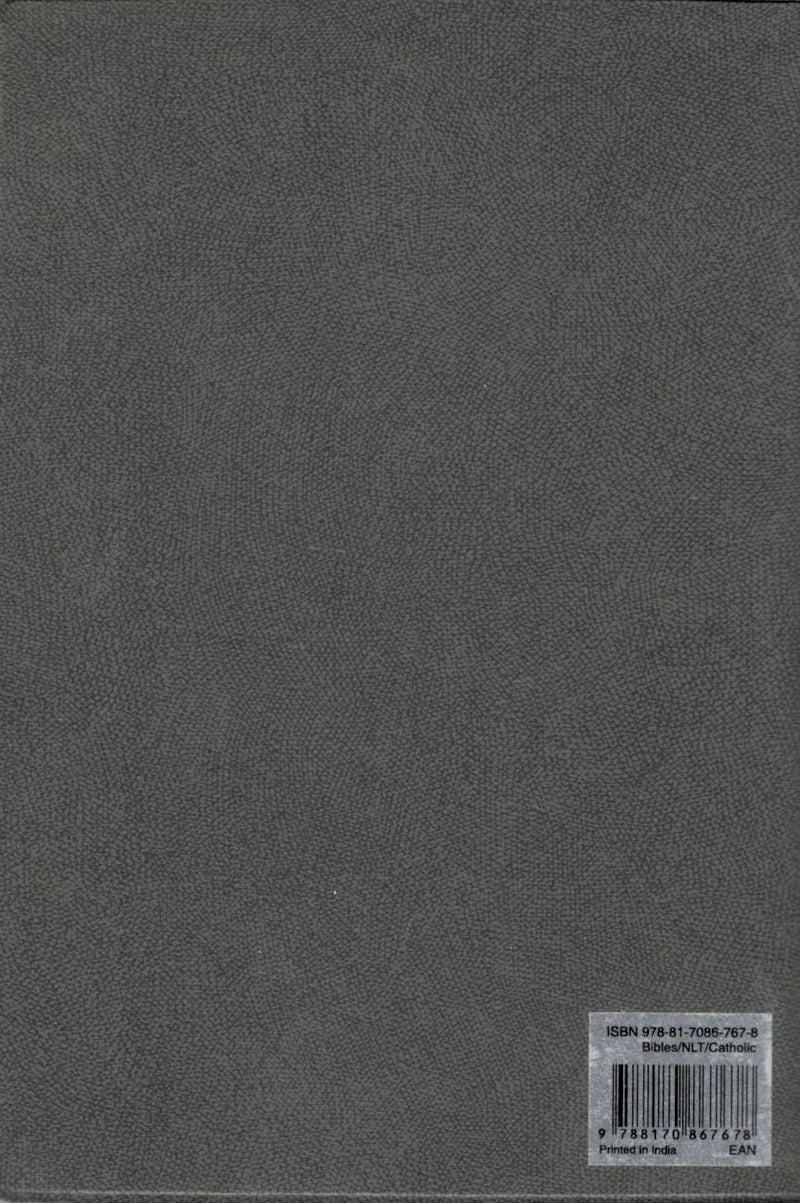 NLT : Holy Bible | Catholic Edition | Pocket Size | Grey
