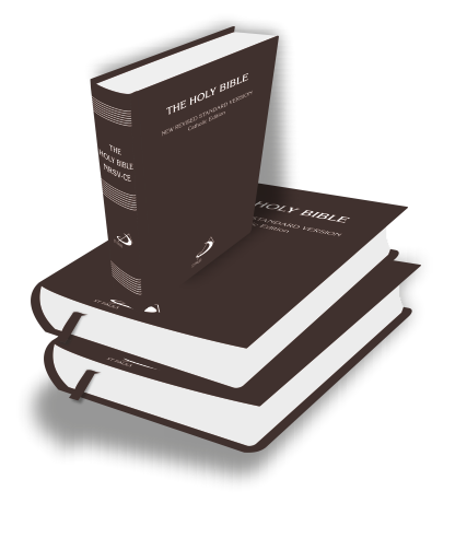 The Holy Bible -New Revised Standard Version (NRSV)