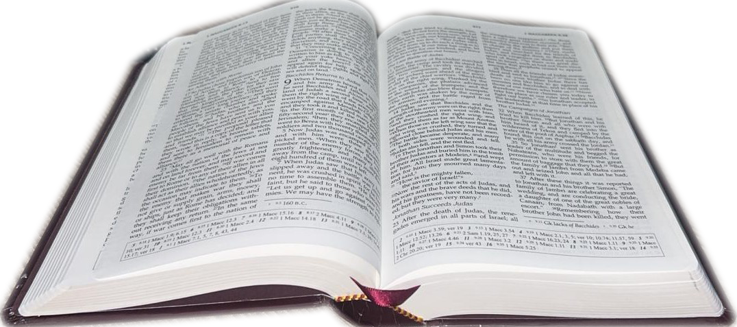 The Holy Bible -New Revised Standard Version (NRSV)