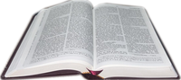 The Holy Bible -New Revised Standard Version (NRSV)