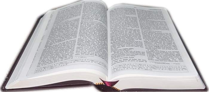 The Holy Bible -New Revised Standard Version (NRSV)